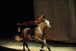 Cavalia-6-8-10-307-DDeRosaPhoto.jpg