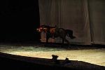 Cavalia-6-8-10-311-DDeRosaPhoto.jpg