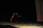 Cavalia-6-8-10-331-DDeRosaPhoto.jpg