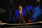 Cavalia-6-8-10-340-DDeRosaPhoto.jpg