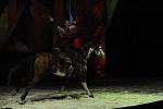 Cavalia-6-8-10-343-DDeRosaPhoto.jpg
