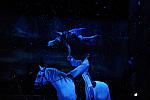 Cavalia-6-8-10-400-DDeRosaPhoto.jpg