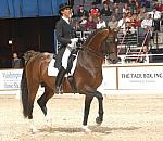 DRESSAGE - Copyrighted Images