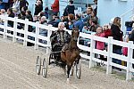 Devon-Saddlebreds-5-29-14-6508-DDeRosaPhoto