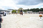 Dressage-at-Devon-9-27-13-4783-DDeRosaPhoto