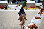 Dressage-at-Devon-9-27-13-4785-DDeRosaPhoto