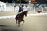 Dressage-at-Devon-9-27-13-4794-DDeRosaPhoto