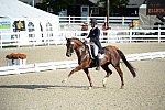 Dressage-at-Devon-9-27-13-4800-DDeRosaPhoto