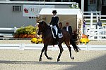 Dressage-at-Devon-9-27-13-4803-DDeRosaPhoto