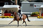 Dressage-at-Devon-9-27-13-4804-DDeRosaPhoto