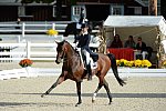 Dressage-at-Devon-9-27-13-4805-DDeRosaPhoto