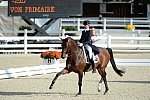 Dressage-at-Devon-9-27-13-4806-DDeRosaPhoto