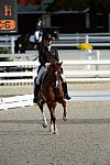Dressage-at-Devon-9-27-13-4812-DDeRosaPhoto
