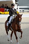 Dressage-at-Devon-9-27-13-4815-DDeRosaPhoto