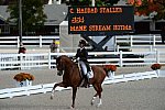 Dressage-at-Devon-9-27-13-4824-DDeRosaPhoto
