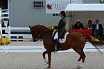 Dressage-at-Devon-9-27-13-4827-DDeRosaPhoto