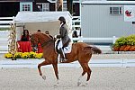 Dressage-at-Devon-9-27-13-4830-DDeRosaPhoto