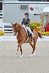 Dressage-at-Devon-9-27-13-4835-DDeRosaPhoto