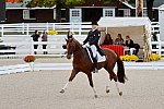 Dressage-at-Devon-9-27-13-4843-DDeRosaPhoto