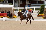 Dressage-at-Devon-9-27-13-4853-DDeRosaPhoto