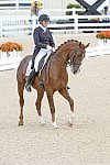 Dressage-at-Devon-9-27-13-4877-DDeRosaPhoto