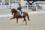 Dressage-at-Devon-9-27-13-4883-DDeRosaPhoto