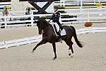 Dressage-at-Devon-9-27-13-4895-DDeRosaPhoto