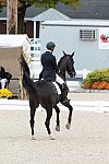Dressage-at-Devon-9-27-13-4914-DDeRosaPhoto