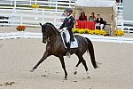 Dressage-at-Devon-9-27-13-4918-DDeRosaPhoto