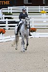 Dressage-at-Devon-9-27-13-4927-EviStrasser-RenaissanceTyme-DDeRosaPhoto