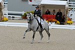 Dressage-at-Devon-9-27-13-4953-EviStrasser-RenaissanceTyme-DDeRosaPhoto