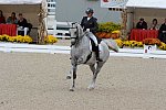 Dressage-at-Devon-9-27-13-4954-EviStrasser-RenaissanceTyme-DDeRosaPhoto