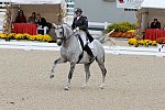 Dressage-at-Devon-9-27-13-4955-EviStrasser-RenaissanceTyme-DDeRosaPhoto