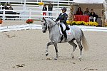 Dressage-at-Devon-9-27-13-4961-EviStrasser-RenaissanceTyme-DDeRosaPhoto