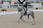 Dressage-at-Devon-9-27-13-4962-EviStrasser-RenaissanceTyme-DDeRosaPhoto