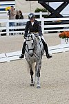 Dressage-at-Devon-9-27-13-4966-EviStrasser-RenaissanceTyme-DDeRosaPhoto