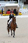 Dressage-at-Devon-9-27-13-4971-JillIrving-Degas12-DDeRosaPhoto