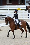 Dressage-at-Devon-9-27-13-4977-JillIrving-Degas12-DDeRosaPhoto