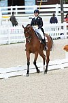 Dressage-at-Devon-9-27-13-4982-JillIrving-Degas12-DDeRosaPhoto