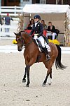 Dressage-at-Devon-9-27-13-4986-JillIrving-Degas12-DDeRosaPhoto