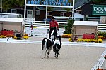 Dressage-at-Devon-9-27-13-4993-DDeRosaPhoto