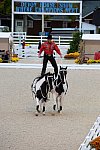 Dressage-at-Devon-9-27-13-4998-DDeRosaPhoto