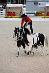 Dressage-at-Devon-9-27-13-4999-DDeRosaPhoto
