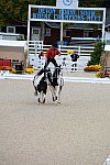 Dressage-at-Devon-9-27-13-5000-DDeRosaPhoto