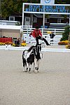 Dressage-at-Devon-9-27-13-5001-DDeRosaPhoto
