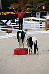 Dressage-at-Devon-9-27-13-5011-DDeRosaPhoto
