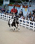 Dressage-at-Devon-9-27-13-5022-DDeRosaPhoto