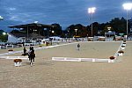 Dressage-at-Devon-9-27-13-5028-DDeRosaPhoto