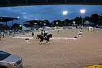 Dressage-at-Devon-9-27-13-5031-DDeRosaPhoto