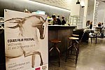EquusFilmFestival-11-21-22-14-6696-DDeRosaPhoto